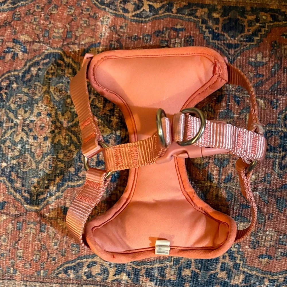 Voyager Dog Harness Set - Black, Pink, Orange